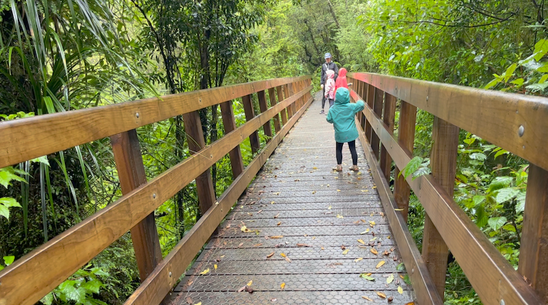 Bridge near Hokitika Gorge