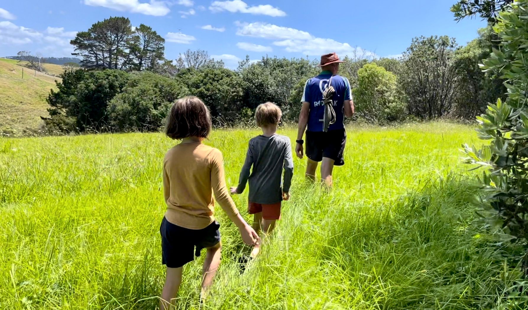 Walking through a meadow of green grass