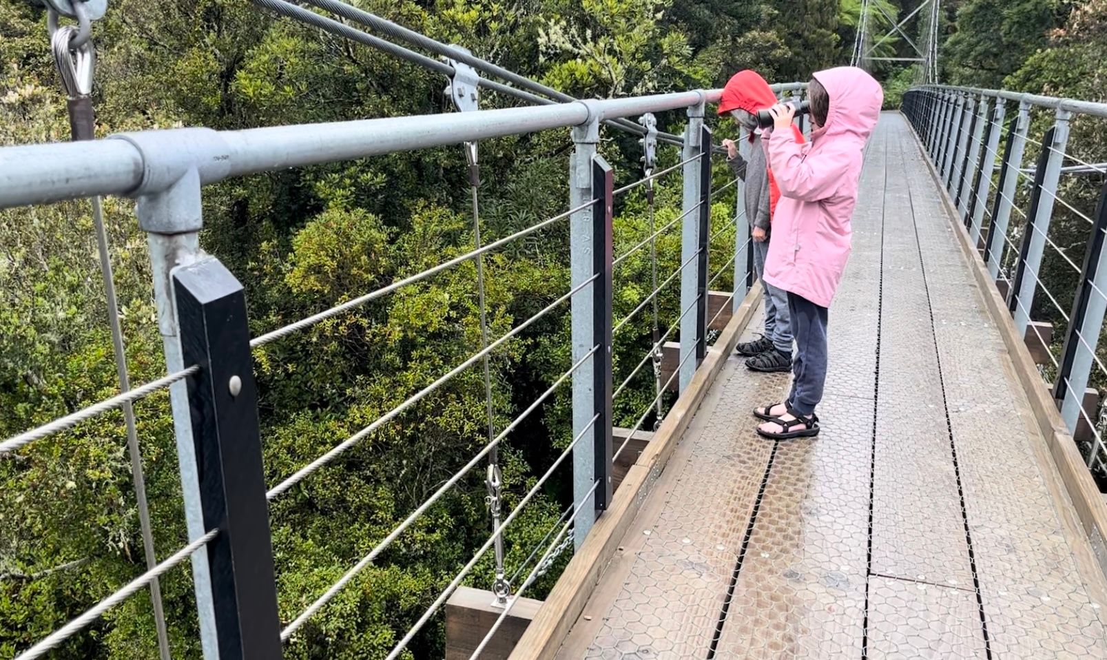 Swing bridge over Hokitika Gorge