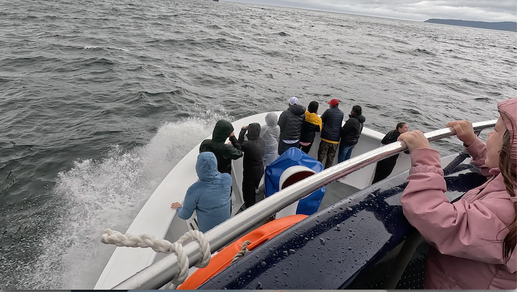 Wave in the front of the boat