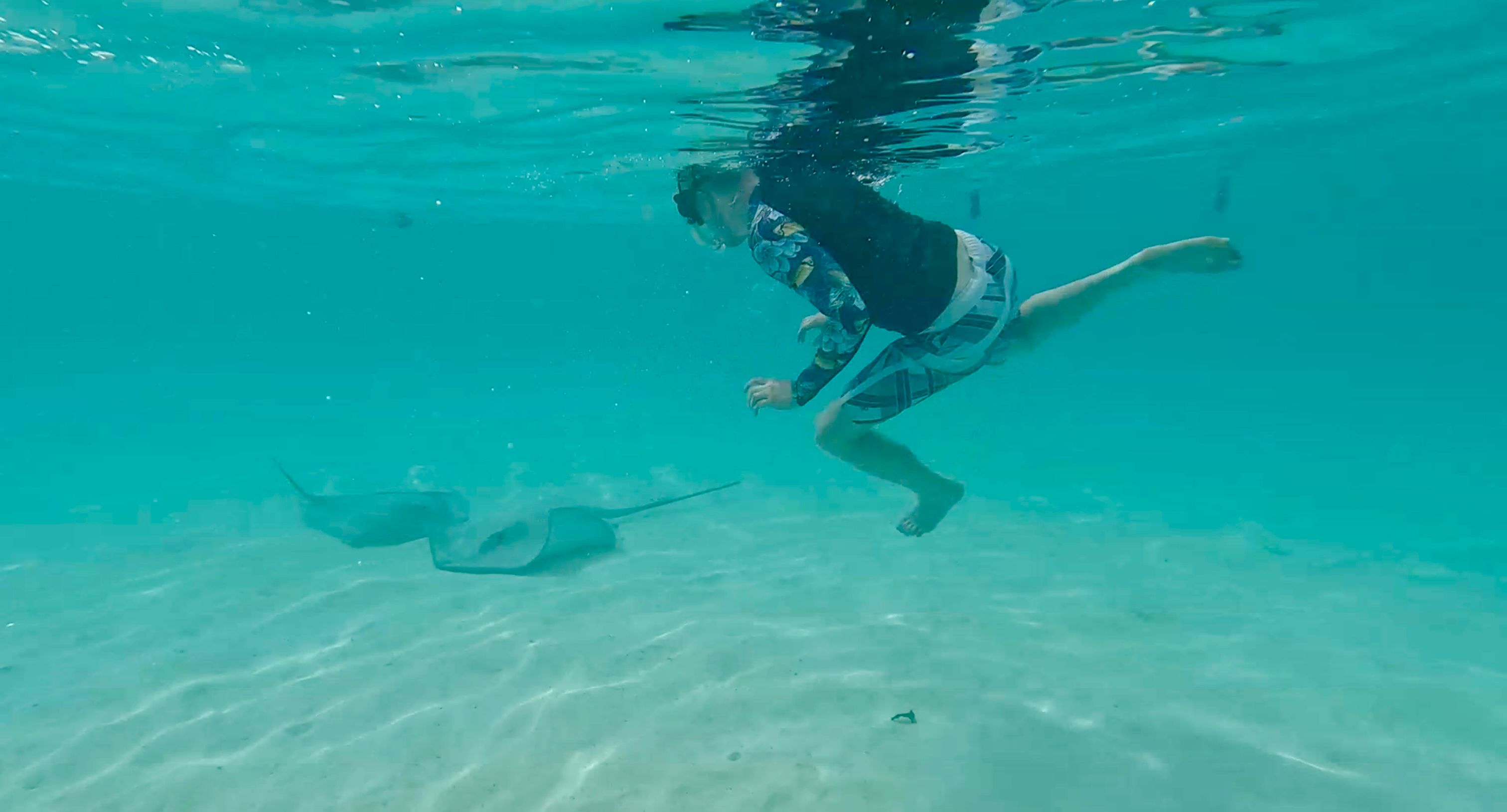 Snorkeling with stingrays