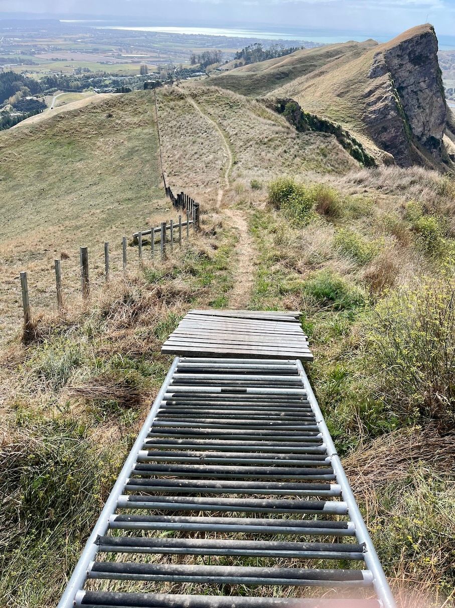 crossing mountain biking elements on the way down Te Mata