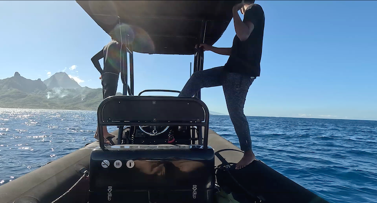 In the boat looking for whales