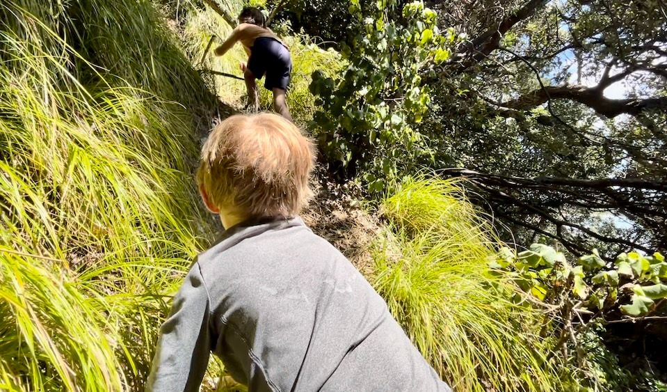 Kids climbing a rope ladder