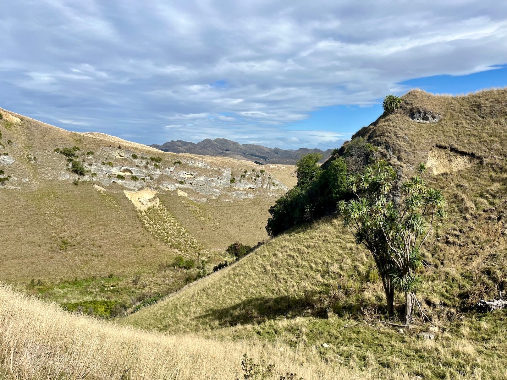 Can see mount Erin in the distance