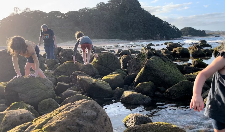 Climbing over rocks by the tide pools